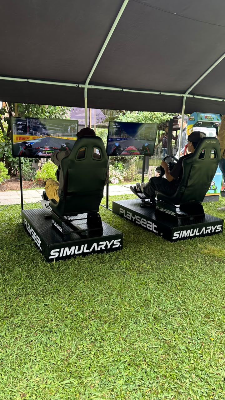 Activación Simularys